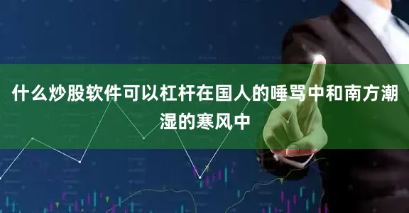什么炒股软件可以杠杆在国人的唾骂中和南方潮湿的寒风中